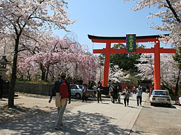 京都市北区の平野神社